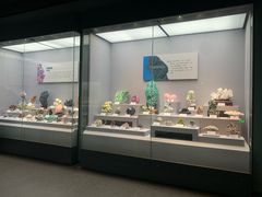 -湖南省地质博物馆