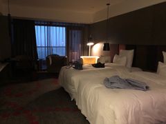 -南京禄口机场雅高铂尔曼大酒店