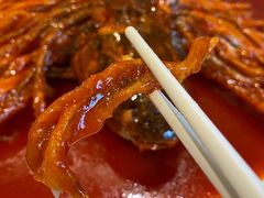 金毛狮子鱼-丹江渔村(望京店)