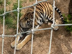 -西霞口神雕山野生动物世界
