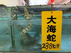 -寻味顺德·南记酒家·传统顺德菜·鱼生(广源路店)