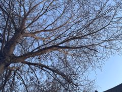 -长影旧址博物馆