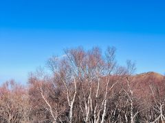 -灵山