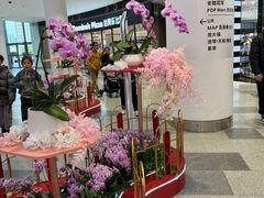 -武汉荟聚