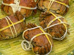 -蟹天蟹地农家菜·阳澄湖大闸蟹(浅水湾店)