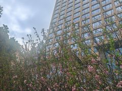 -上海浦西万怡酒店