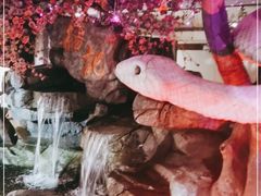 -榕记(番禺总店)