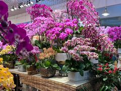 -双季花艺园艺市场(浦东店)