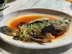 -天然居·漳港海鲜·海景餐厅(南澳总店)