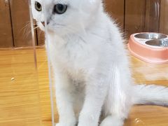 -龟与熊猫宠物公园(南坪店)