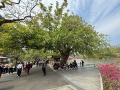-星湖旅游景区七星岩