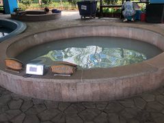 -南宫温泉水世界