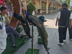 -西双版纳勐泐文化旅游区
