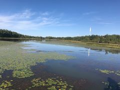 -塞罕坝国家级自然保护区