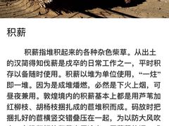 -敦煌市博物馆