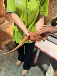 -酷嗒动物文化乐园(cutezoo西溪乐天城店)