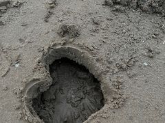 -青岛第三海水浴场