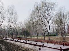 -北坞公园