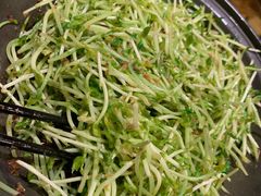 清炒豆苗-俭朴菜(鲁磨路店)