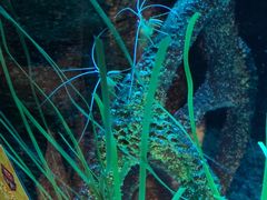 -沈阳海洋探索中心