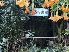 -斯多格书乡(北京大学畅春园店)