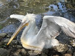 -济南野生动物世界