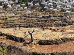 -白羊峪长城旅游区