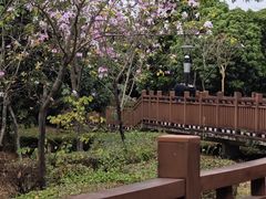 -立新湖公园