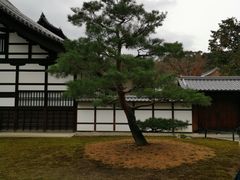 -七号仓库火盆烧烤(镇江北路店)