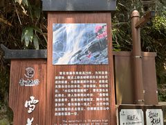 -云中大漈