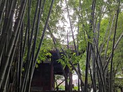 -望江楼公园