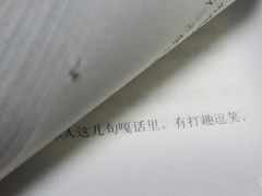 -憶廟街 X 沙角邨(太古城店)