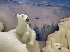 -宁波冰雪大世界(北仑区)