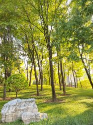 -大望京儿童游乐场