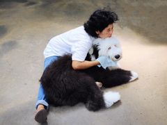 -TrueLove @ Neverland (Husky Cafe)