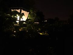 -Sirena海妖日咖夜酒