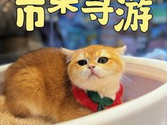-LuOne凯德晶萃广场(徐家汇路店)