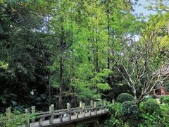 -广州兰圃
