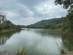 -凤岗南门山森林公园