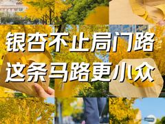 -上海电影博物馆