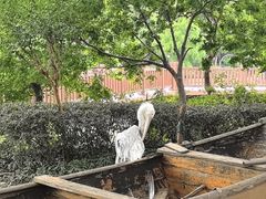 -无锡动物园·太湖欢乐园
