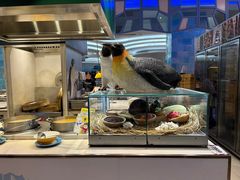 -帝企鹅自助餐厅•儿童岛•真企鹅(长隆企鹅酒店)