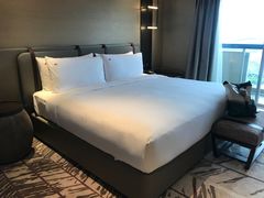 -新加坡瑞士史丹福酒店