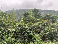 -海南热带雨林国家公园吊罗山景区