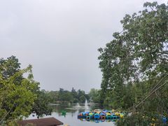 -桂湖森林公园