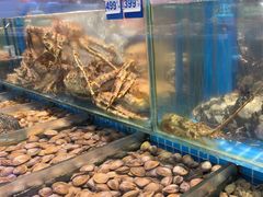 -望海湾鱼头泡饼·天津菜(空港店)