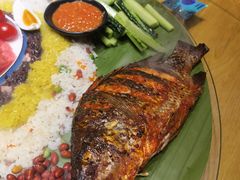 -金塔傣乡·云南民族特色菜·傣味手抓饭(金瓦路店)