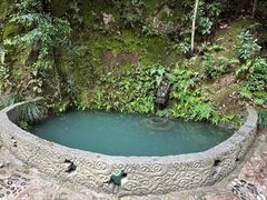 -十八棵（老龙井）御茶园(老龙井店)