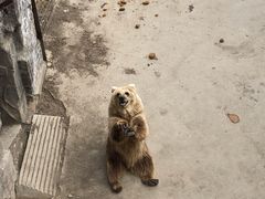 -哈尔滨北方森林动物园