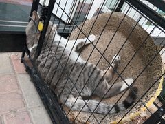 -梁子刨冰王&梁小糖(王顶堤店)